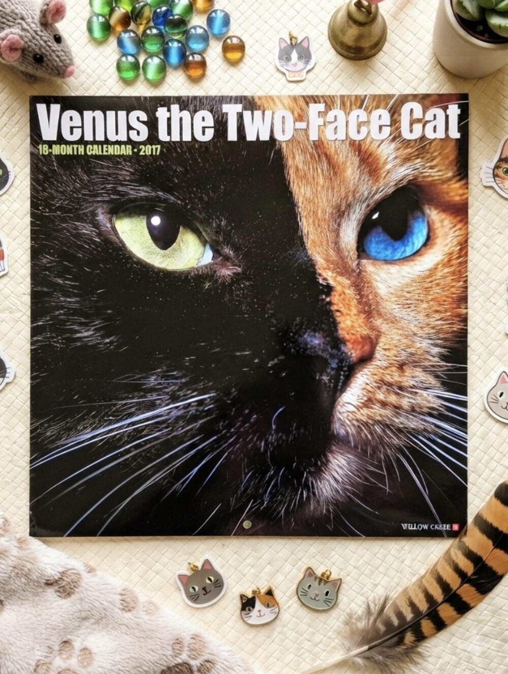 Venus the Two-Face Cat 2017 16-Month Calendar (use for photos to frame or hang)